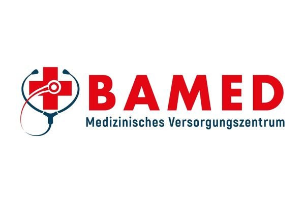 Bamed logosu, Netfikir web tasarım çalışması