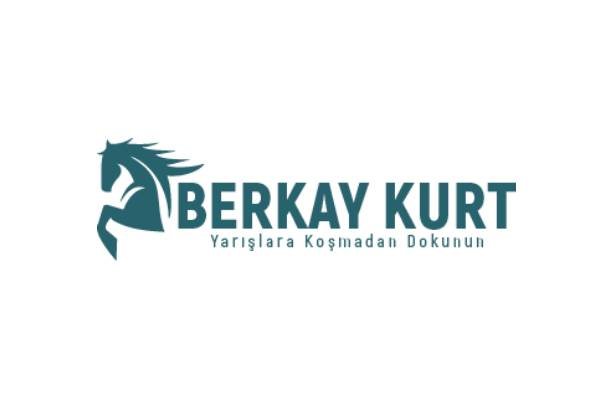 Berkay Kurt logosu, Netfikir web tasarım çalışması