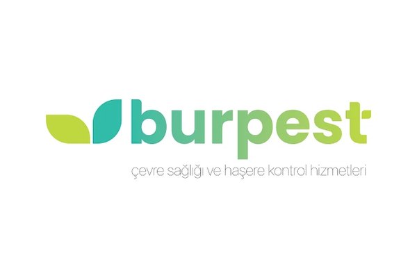 Burpest logosu, Netfikir web tasarım çalışması