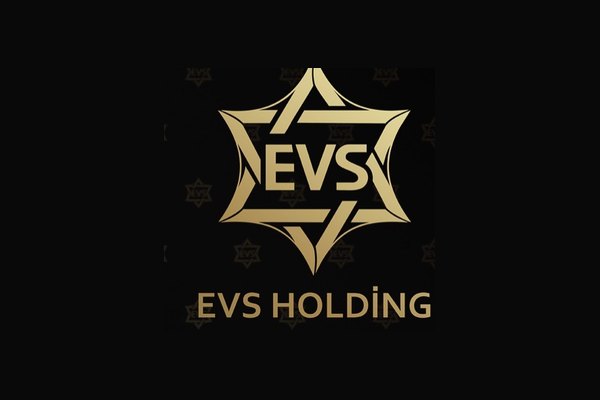 EVS Holding logosu, Netfikir web tasarım çalışması