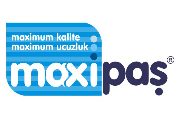 Maxipaş logosu, Netfikir web tasarım çalışması
