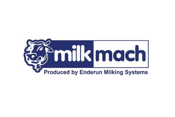 Milkmach logosu, Netfikir web tasarım çalışması