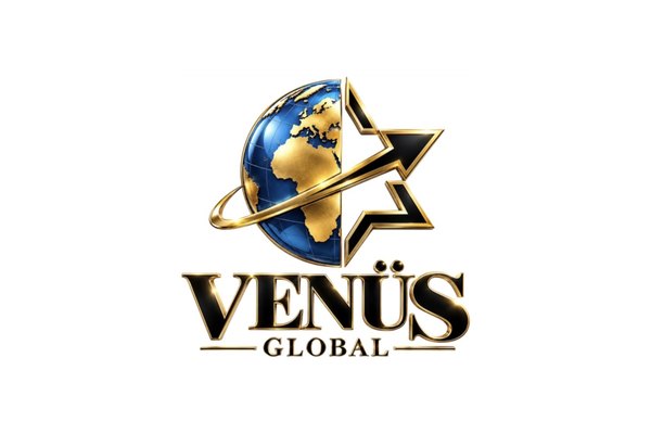 Venus Global logosu, Netfikir web tasarım çalışması
