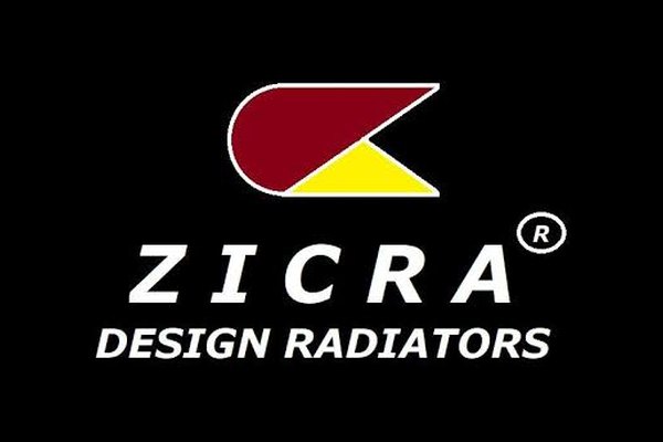 Zicra logosu, Netfikir web tasarım çalışması